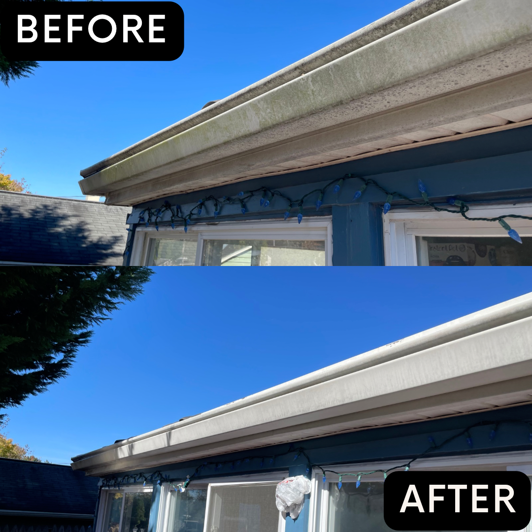 Amazing Gutter Cleaning in Norristown, Pennsylvania